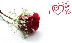 如何选取合适的祝福寄语并成功送出，让你的七夕情人节变得更加浪漫？