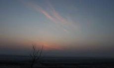 抒发孤寂之痛的失落句子：探讨孤独感所引发的痛苦情感