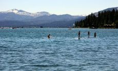 如何通过情感表达方式在女朋友忙碌的生活中传递温馨问候并得到她的关注？