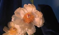 一篇集合了2022年令人痛苦的、心碎的、难以忍受的句子的文章