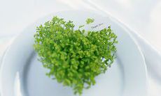 祝福爱情、亲情和友情的精心构思的富有温暖感的表达方式