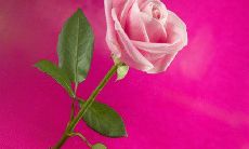 「不幸的脚扭伤，恭敬地愿您早日康复，祝愿您身心健康，远离疾病和伤害。」