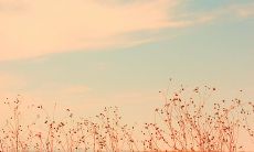 追忆昔日文学经典：怀旧回忆中那些流传千古的诗句