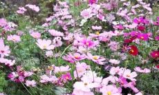 Unleashing Your Full Potential: The Ultimate Motivational Manifesto in English