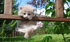 十分有趣且能够使人开心的恶作剧句子