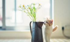 收获点赞最多的超级霸气说说，让你倍感振奋的实力炸裂！