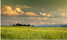 在炎热的夏季，闷热的空气笼罩着一切，凉爽的海风和清新的泳池水波荡漾，夏日的繁忙和轻松的氛围混杂在一起