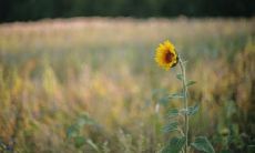 22句话看懂为什么开学不能不买新衣服