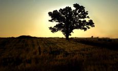 如何处理婚姻矛盾心情烦躁的情况？