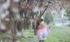 感恩亲情的珍贵句子，让我们更加珍惜家庭之爱