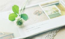 收录了经典的友情祝福句子，用于表达真挚的情感与关怀