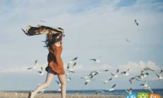 分享一些让心灵充满正能量并流淌感恩之情的句子