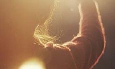 可以这样改写：挥别大学校园，追忆逝去的青涩岁月，我们分享那些难忘的回忆