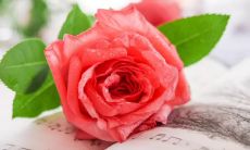 富有唯美感的爱情句子，舒缓心灵的甜言蜜语