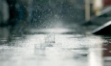 经典情感语录：每句都切中心灵，深深触动内心的情感力量