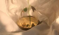 发送给生病老师的慰问且表达家长关切的短信内容