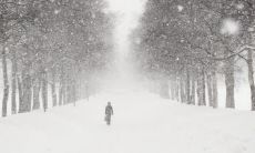 冰冷凛冽的语言，萦绕心头的冷酷刺骨之感