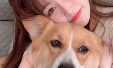 惊艳雅致：包含众多短句的优美说说大全