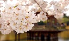 尊重、感恩、珍惜亲情——一组句子带你说说内心深处的感悟和情感体验