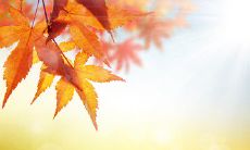 在夜深人静的时刻，用句子来表达内心的不安：说说我此时此刻饱受心烦之苦的心情