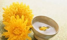 永不消逝的爱——关于家庭和亲情的一些句子