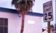 探寻朋友圈中的诗意短句，诗意浸润生活的瞬间趣味漫长