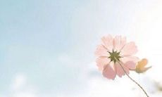 探索2022年最时尚、最受欢迎的句子潮流