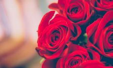 每天对自己微笑，用这些温暖的句子为你的灵魂带来无尽的喜悦与幸福