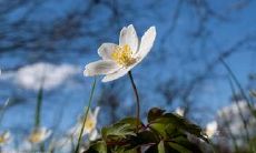 我和我的男朋友在一起时所感到的无穷快乐和欣喜的美妙语句！