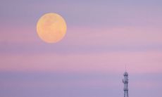 在游戏中绽放快乐：祝你能在游戏中找到快乐的话语