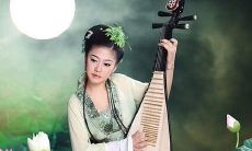 用含蓄深刻的月亮引领感悟情感，感受借月所凝结的抒情句子的魅力