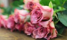 分享抖音上让人感到幸福的话语和句子