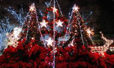 欢乐无比、充满温情的神圣耶诞节：一系列美丽欢快的祝福语句！