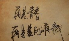 寻觅关于告别青春的美好语句：寄托那些难舍难分的青葱岁月的赞颂之词