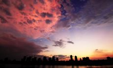 表达亲情之爱——探索如何用言语呈现感情深处的真心情感