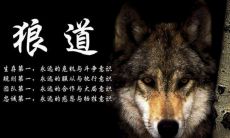 不放弃追求正向能量的积极努力：一句饱含力量的口号