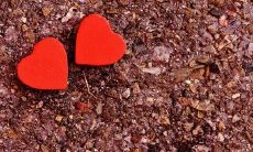 如何表达对家庭的失望以及透露家庭关系不佳的有力句子？