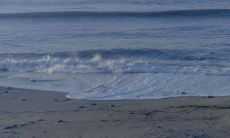 分享喜悦的句子——带来快乐心情的愉悦话语