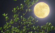 精美绝伦的描写元宵节月亮的句子，如梦如幻地将那明月作为主角，细致入微地勾勒出月亮的形态，以及它与元宵之间那深刻的联系，让人浮想联翩，感叹世间美好良辰