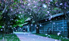 一些让你感恩同事的心酸句子，能让你的职场更加稳定和亲密