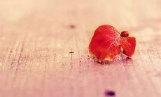 探究青春期的心理健康与积极人生态度：汇集青春正能量的句子