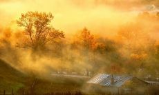 享受田园风光的乡村生活——美妙的句子描绘乡间自然之美