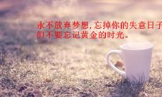 坚毅奋斗的女性：勇闯人生路途的励志故事