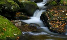 感谢老师点亮人生的光芒：一组唯美感恩老师的句子