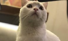 探讨如何通过使用充满喜悦和欢笑的词汇和句子来促进心理福利的活动