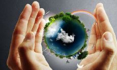 秉持爱树之心，践行环保之道的口号