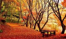 夜晚祝愿：让我们充满开心和正能量的美好睡眠句子