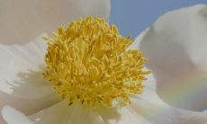 欢迎十月，告别九月：送走旧月，用句子迎接新月的欢庆！