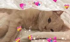 精选虎狼之词文案，让您的营销文案更加犀利、吸睛！