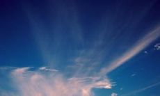 展现张爱玲深刻而唯美的友情句子